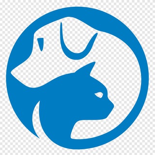 Telegram group profile photo for 🦮 СОБАКА | 🐈 КОШКА | МОЙ ПИТОМЕЦ