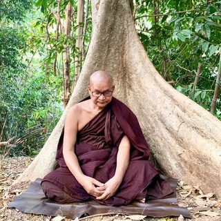 Telegram profile photo for မြောက်ဦးဆရာတော် - တရားတော်များ