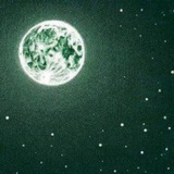Telegram profile photo for Shill Anything💯🍀
