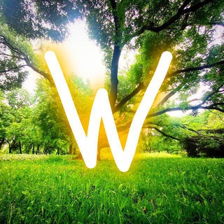 Telegram profile photo for Wnature🌳