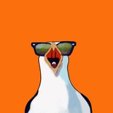 Telegram profile photo for burngull