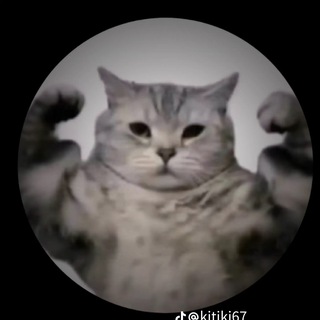 Telegram profile photo for Сёмка🦁