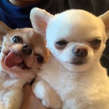 Telegram profile photo for Склад