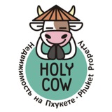 Telegram profile photo for Holy Cow Phuket / аренда апартаментов на Пхукете