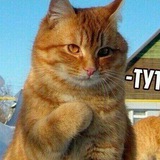 Telegram profile photo for Йа