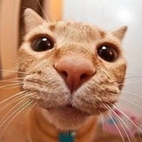 Telegram profile photo for Смешные уголки Мира | SUS | Мемы и приколы, угар 🤣