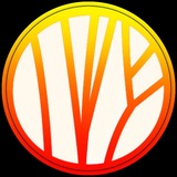 Telegram profile photo for 𝐋´𝐎𝐂𝐂𝐈𝐓𝐀𝐍𝐄