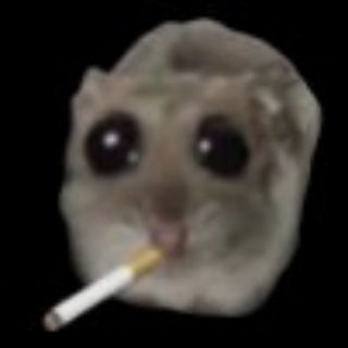 Telegram profile photo for CryptoFlub
