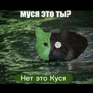 Telegram profile photo for Канал Кусика 👀
