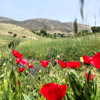 Telegram profile photo for 🍃روستای نیاول(دیلمان)🍃