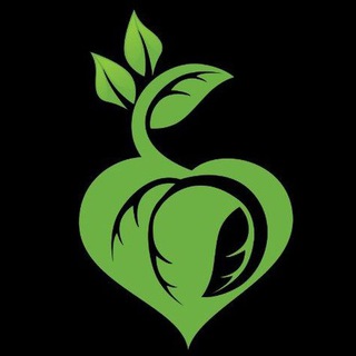 Telegram profile photo for ENDOVASCULAR SCHOOL