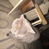 Telegram profile photo for Жизнь Милки 2.0
