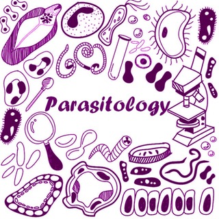 Telegram profile photo for Parasitology (Hani Bassam)