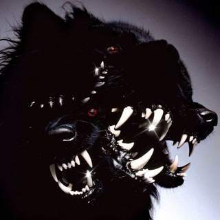 Telegram profile photo for 🩸 𝓑𝓵𝓸𝓸𝓭𝔂 ....𝓭𝓸𝓰..................