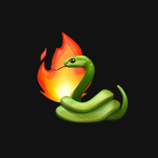 Telegram profile photo for PythonCamp