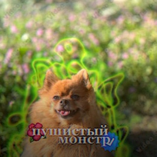 Telegram profile photo for Пушистый монстр🥀