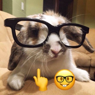 Telegram profile photo for нунмун🐰ᯓᢉ𐭩
