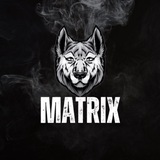 Telegram profile photo for MATRIX🥇🇮🇶