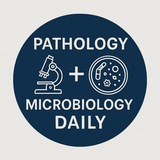 Telegram profile photo for Daily pathology + microbiology