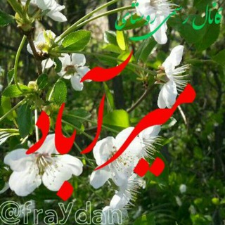 Telegram profile photo for کانال روستای میراباد