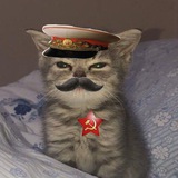 Telegram profile photo for База Сталина😝