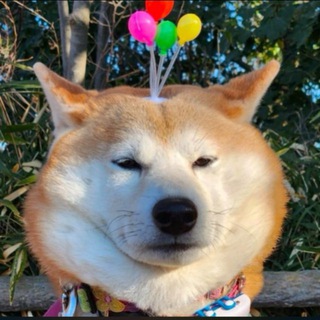 Telegram profile photo for OG CHACHAMARU PORTAL