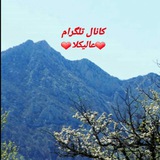 Telegram profile photo for کانال تلگرام عالیکلاء