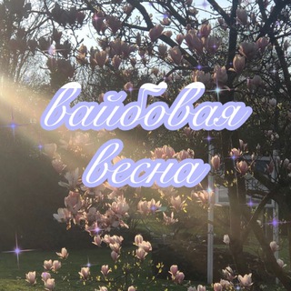 Telegram profile photo for вайбовая весна✨