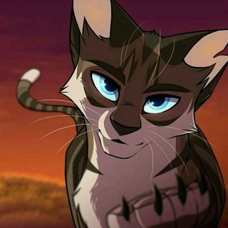Telegram profile photo for ๐ฝ๐ถ๐๐๐ป๐โด๐๐'๐ ๐ถ๐ป๐ป๐ถ๐พ๐