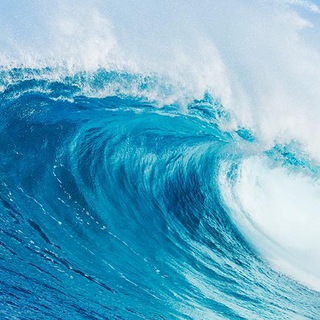 Telegram profile photo for New Wave All Over The World