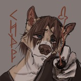 Telegram profile photo for 𝚂𝚒𝚍𝚛🥩