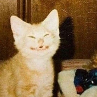 Telegram profile photo for Тут була Фоннг