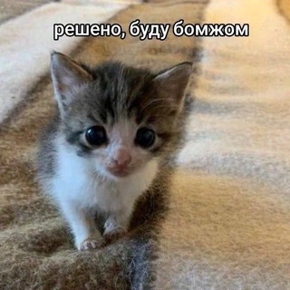 Telegram profile photo for Хлорь