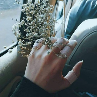 Telegram profile photo for صہٰدَفہٰهٰہٰٖ 🥀💭 ،