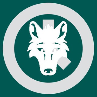 Telegram profile photo for Is it EF31?