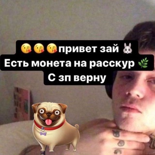 Telegram profile photo for Doso4ka жизнь