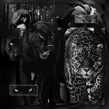 Telegram profile photo for 𝗭𝗔̷𝗭𝗘𝗥𝗞͟𝗔̷𝗟̀𝗬𝗘 𝗡