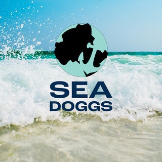 Telegram profile photo for SeaDoggs Portal