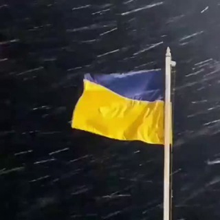 Telegram profile photo for Mark🇺🇦