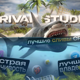 Telegram profile photo for Rivak