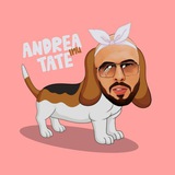 Telegram profile photo for Andrea Tate Inu - Announcement Channel