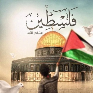 Telegram profile photo for مكتبة كلية الشريعة و القانون 📝⚖