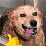 Telegram profile photo for Отзывы SkarZEN