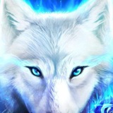 Telegram profile photo for Ricky Wong