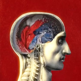 Telegram profile photo for Между нами Сos(θ)