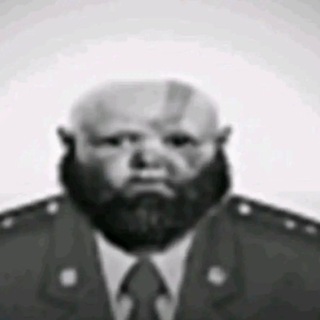Telegram profile photo for rampage