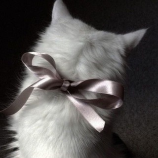 Telegram profile photo for c’ est misú