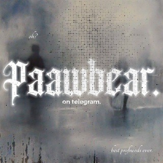 Telegram profile photo for paawbear. 𖦽