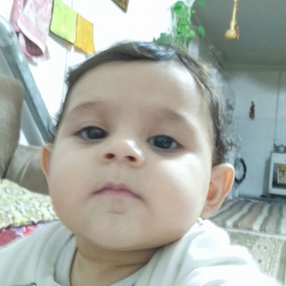 Telegram profile photo for آلبوم ایلوار