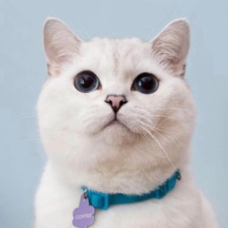 Telegram profile photo for White Coffee - Portal